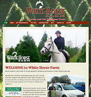 Click Here to visit Judith Love Schwab website.